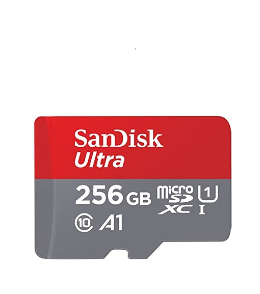 SanDisk 256GB Class 10 microSD Memory Card