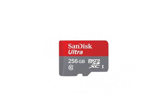 Sandisk 256gb Class 10